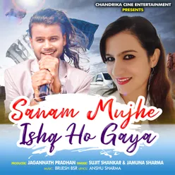 Sanam Mujhe Ishq Ho Gaya (Hindi)
