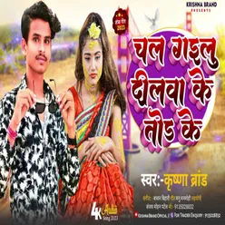 Chal Gailu Dilwa Ke Todi Ke (Bhojpuri Sad)