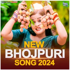 New Bhojpuri Song 2024