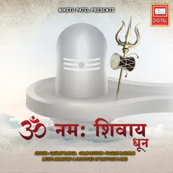 Om Namah Shivay