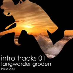 Langwarder Groden (Intro for Mixes (Dminor 120bpm))