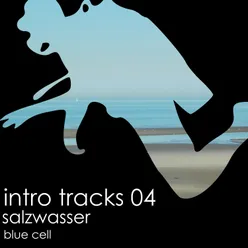 Salzwasser (Intro for Mixes (Dmin-120bpm))