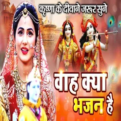 Radhe To Bani Hain Radheshyam Ke Liye