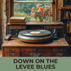 Down On the Levee Blues