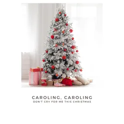 Caroling, Caroling (Don't Cry For Me This Christmas)