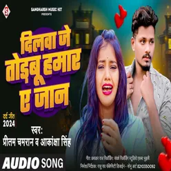 Dilawa Je Todabu Hamar A Jaan (Bhojpuri)