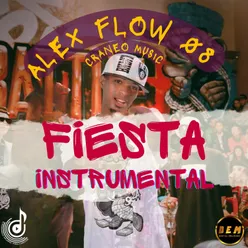 FIESTA Instrumental