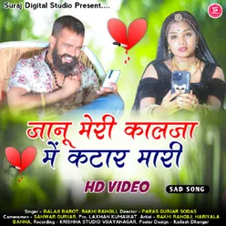 JAANU MERI