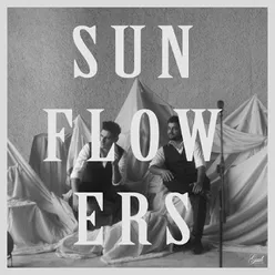 Sunflowers ft. Shekhar Rawat