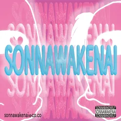 SONNAWAKENAI