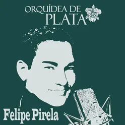 Orquídea de Plata