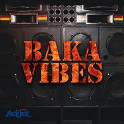 BAKA VIBES / 翔んでWi-Fi (feat.ジャガ先輩)