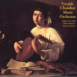 Concerto for Violin, Strings and Continuo in F Minor, No. 4, Op. 8, RV 269, "Winter": I. Allegro Non Molto