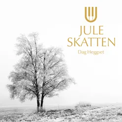 Juleskatten Radio Edit