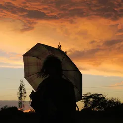 Umbrella Cover