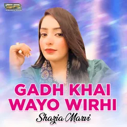 Gadh Khai Wayo Wirhi - Single