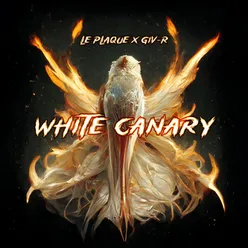 White Canary
