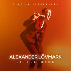 Silly Little Lovesong Live in Gothenburg