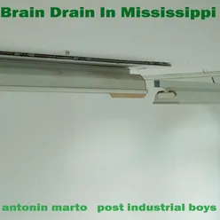 Brain Drain in Mississippi Გაჟონვა