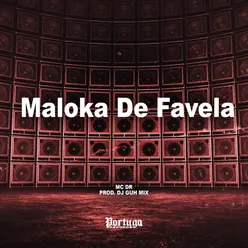 Maloka de Favela