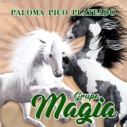 Paloma Pico Plateado