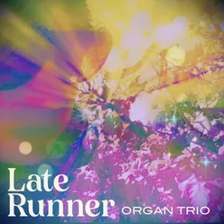 Catch Your Eye Organ Trio Version