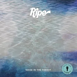 Noise in the Forest