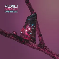 Diga-li! Dub Remix Paolo Baldini Dubfiles Version