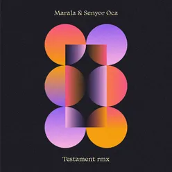 Testament Remix