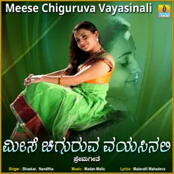 Meese Chiguruva Vayasinali - Single