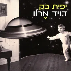 דויד מרלו