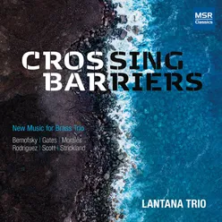 Crossing Barriers: III. For Macapá, Brazil