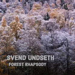 Forest Rhapsody