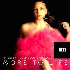 More to Life Deep Soul Syndicate Instrumental Mix