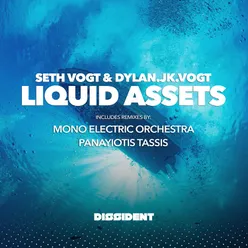 Liquid Assets Mono Electric Orchestra Remix