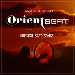 Kurdish Beat Songs Remix