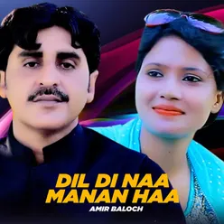 Dil Di Naa Manan Haa