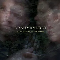 Draumkvedet