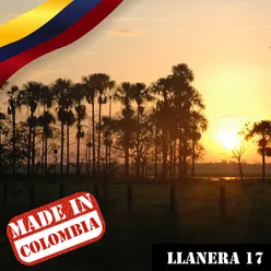 Made In Colombia / Llanera / 17