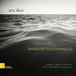 Ambient Resonances (Echoes of time and place): II