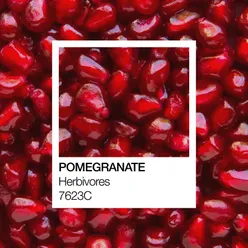 Pomegranate