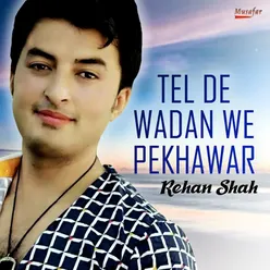 Tel De Wadan We Pekhawar - Single