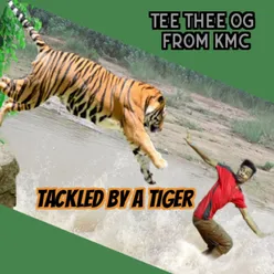 Tackled by a Tiger