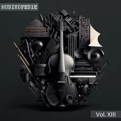 Musikopedie, Vol. XIII