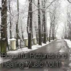 Beautiful Pictures and Healing Music Vol.11 Women's Public Opinion ver.