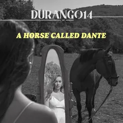 A Horse Called Dante