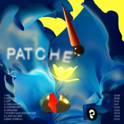 Patche