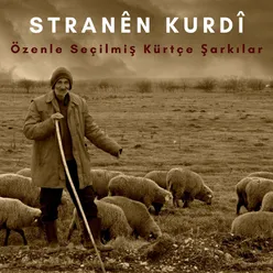 Şerinamın