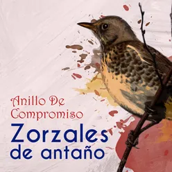 Zorzales de Antaño / Anillo de Compromiso