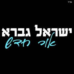 אור חדש